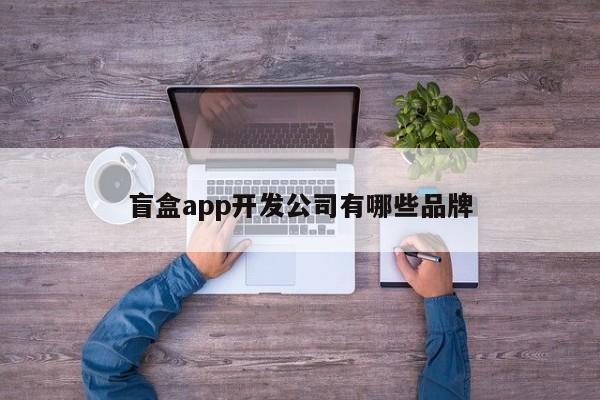 盲盒app开发公司有哪些品牌