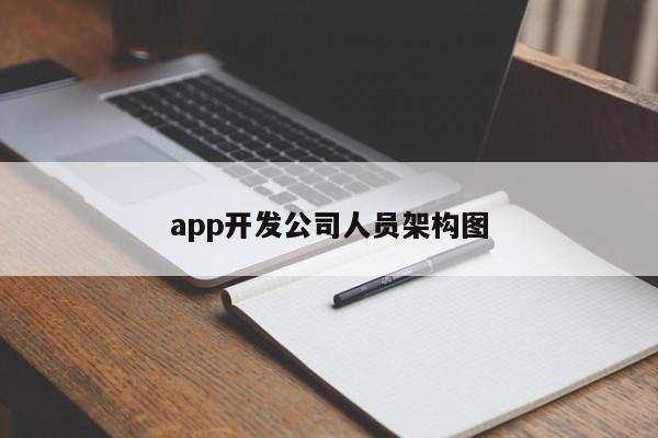 app开发公司人员架构图