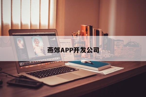 燕郊APP开发公司