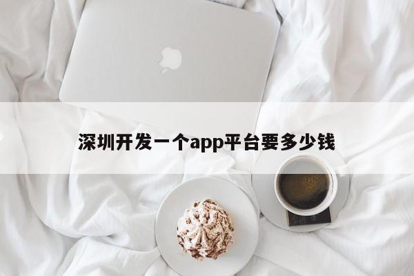 深圳开发一个app平台要多少钱