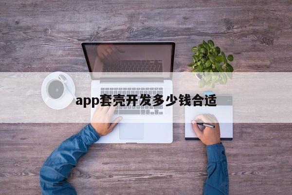 app套壳开发多少钱合适