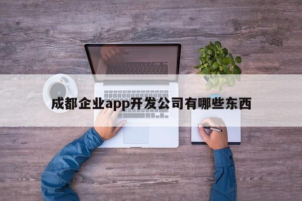 成都企业app开发公司有哪些东西