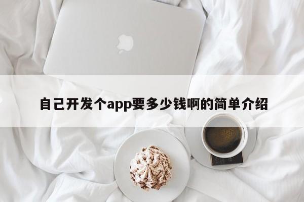 自己开发个app要多少钱啊的简单介绍