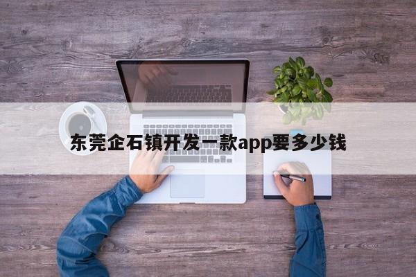 东莞企石镇开发一款app要多少钱