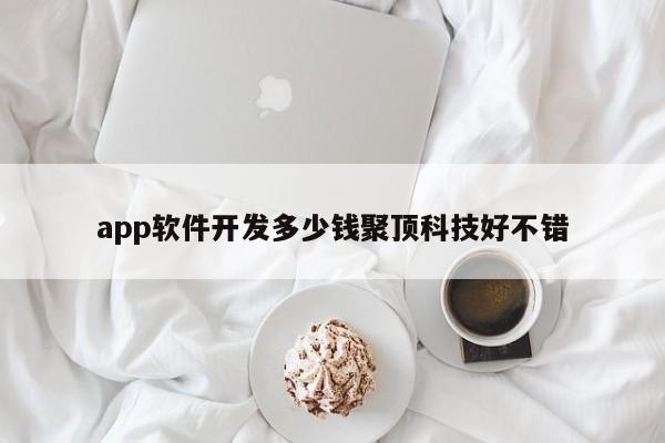 app软件开发多少钱聚顶科技好不错