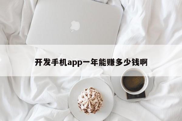 开发手机app一年能赚多少钱啊