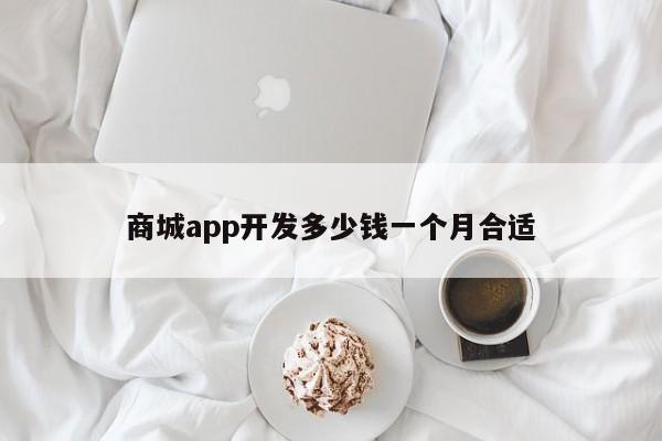 商城app开发多少钱一个月合适