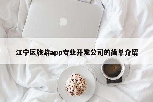 江宁区旅游app专业开发公司的简单介绍