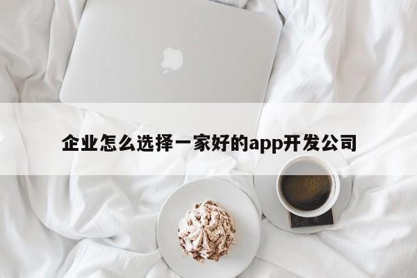 企业怎么选择一家好的app开发公司