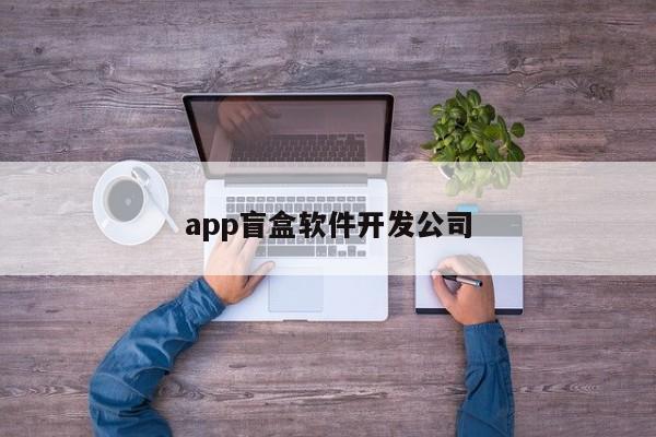 app盲盒软件开发公司