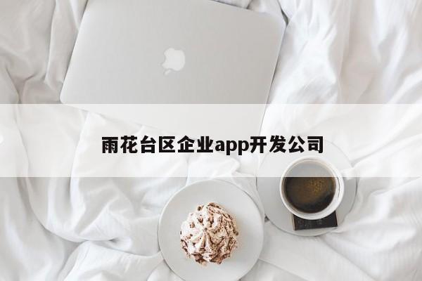 雨花台区企业app开发公司