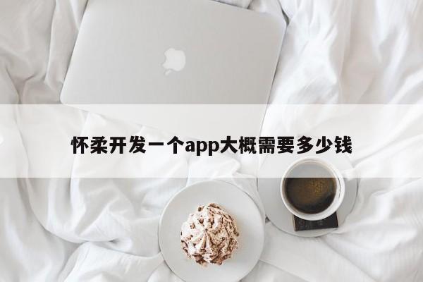 怀柔开发一个app大概需要多少钱