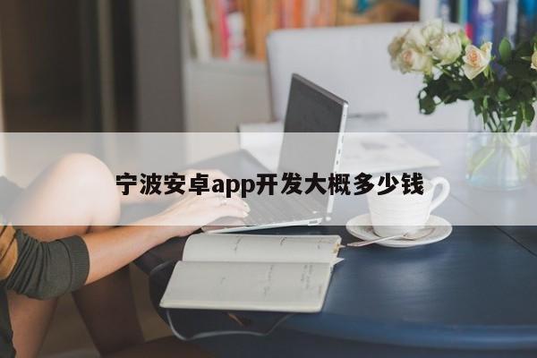 宁波安卓app开发大概多少钱