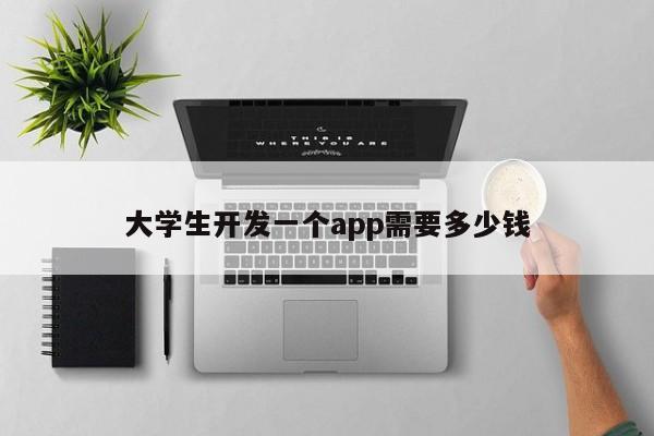 大学生开发一个app需要多少钱