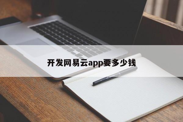 开发网易云app要多少钱