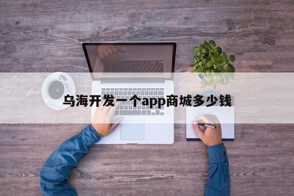 乌海开发一个app商城多少钱