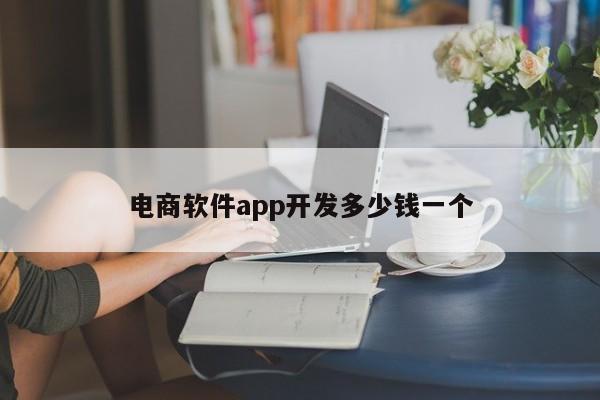 电商软件app开发多少钱一个