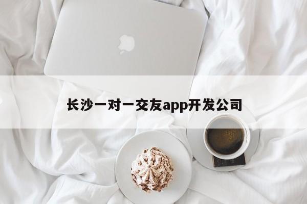 长沙一对一交友app开发公司