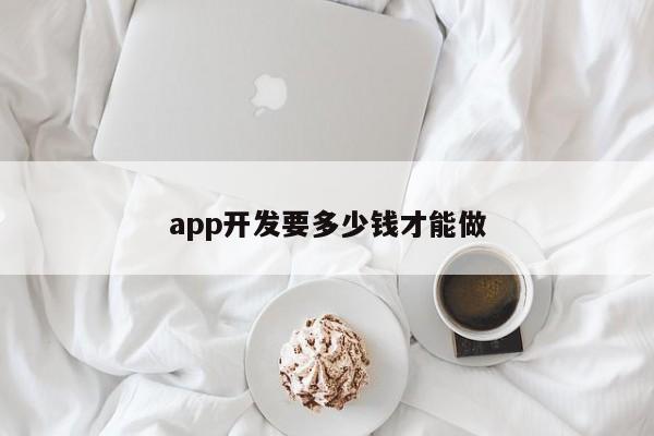 app开发要多少钱才能做