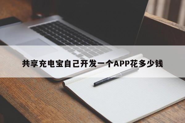 共享充电宝自己开发一个APP花多少钱