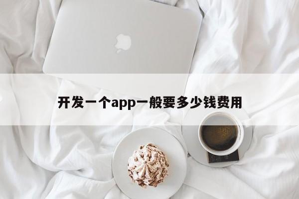 开发一个app一般要多少钱费用