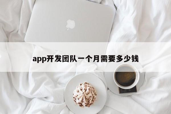 app开发团队一个月需要多少钱