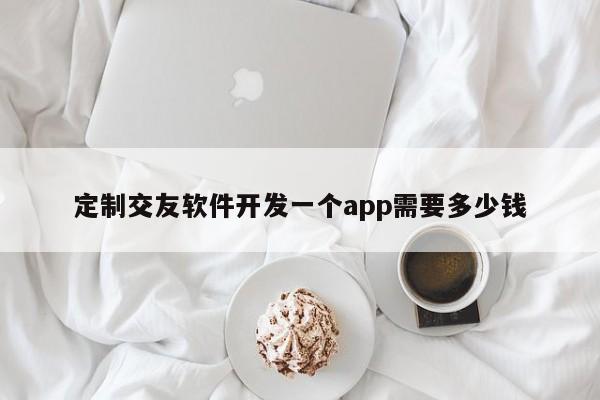 定制交友软件开发一个app需要多少钱