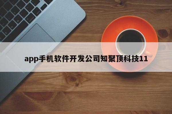 app手机软件开发公司知聚顶科技11