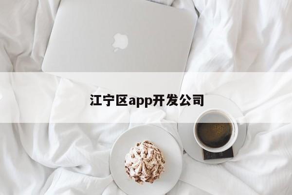 江宁区app开发公司