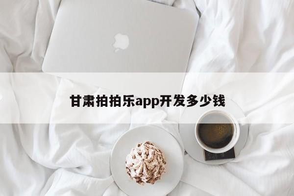 甘肃拍拍乐app开发多少钱